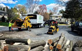 Best Emergency Tree Removal  in Ellisburg, NJ